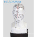 Head Acupuncture Model (Headam20)